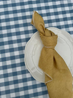 NEW! Blue Gingham