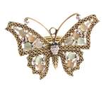 Pastel Butterfly