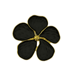 Black Flower - Set of 6