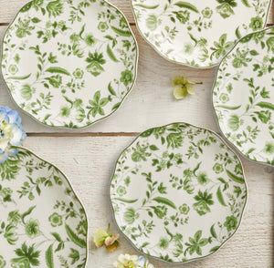 Daisy Fern Pre-order (Arrives in 8-10 days)