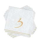 Luxe Party NYC Napkins 16 Cocktail Napkins - 5" x 5" White and Gold Hebrew ZAYIN Paper Cocktail Napkins | 16 Napkins